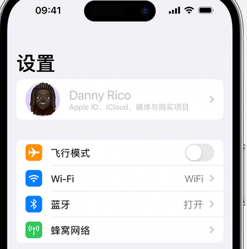 绵阳appleID维修服务iPhone设置中Apple ID显示为灰色无法使用 