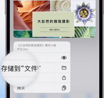 绵阳apple维修中心分享iPhone文件应用中存储和找到下载文件