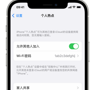 绵阳apple服务站点分享iPhone上个人热点丢失了怎么办