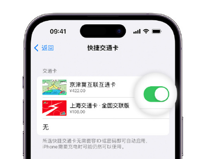 绵阳apple维修点分享iPhone上更换Apple Pay快捷交通卡手绘卡面 