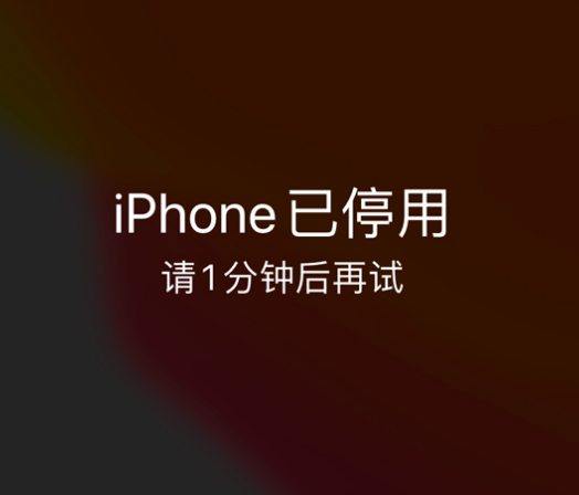 绵阳苹果手机维修分享:iPhone 显示“不可用”或“已停用”怎么办？还能保留数据吗？ 