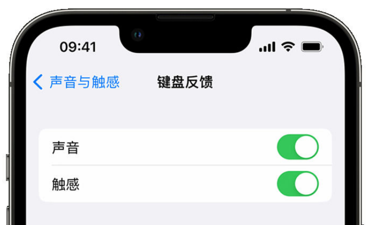 绵阳苹果手机维修分享iPhone 14触感键盘使用方法 