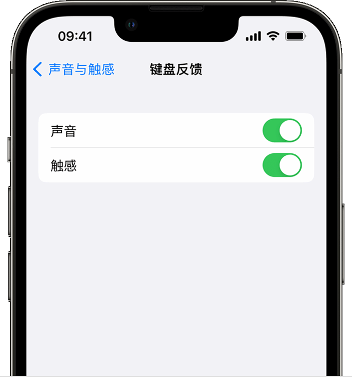 绵阳苹果14维修店分享如何在 iPhone 14 机型中使用触感键盘 