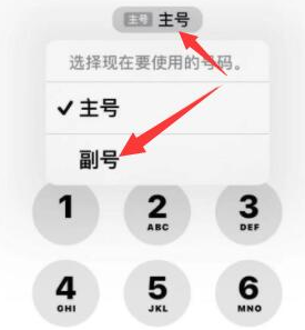 绵阳苹果14维修店分享iPhone 14 Pro Max使用副卡打电话的方法 