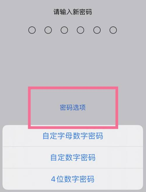 绵阳苹果14维修分享iPhone 14plus设置密码的方法 