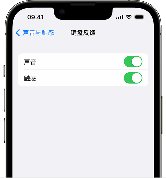 绵阳苹果14维修分享iPhone 14 系列机型如何开启键盘声音或触感反馈 