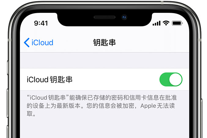 绵阳苹果手机维修分享在 iPhone 上开启 iCloud 钥匙串之后会储存哪些信息 