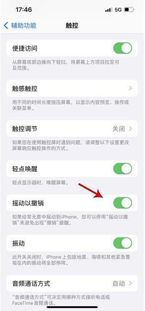 绵阳苹果手机维修分享iPhone手机如何设置摇一摇删除文字 