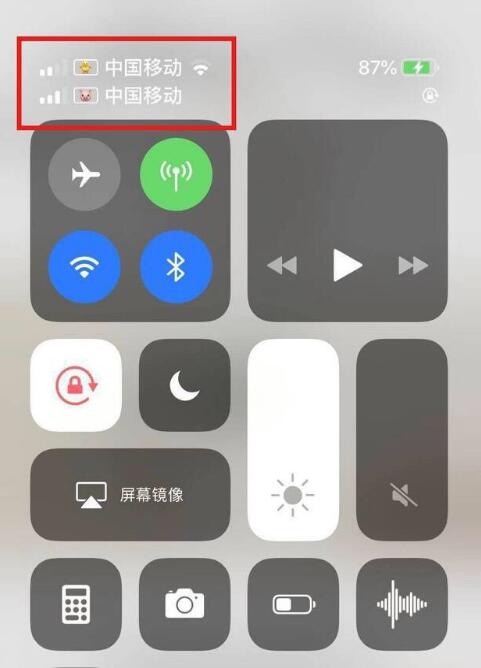 绵阳苹果手机维修分享为 iPhone 12 双卡设置标签 
