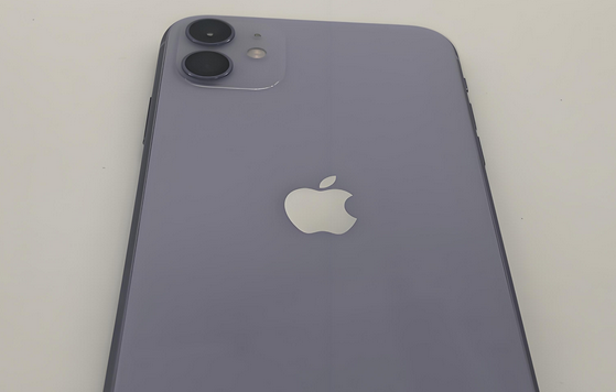 绵阳苹果11系统维修分享iPhone11手机系统崩溃无法开机如何解决 